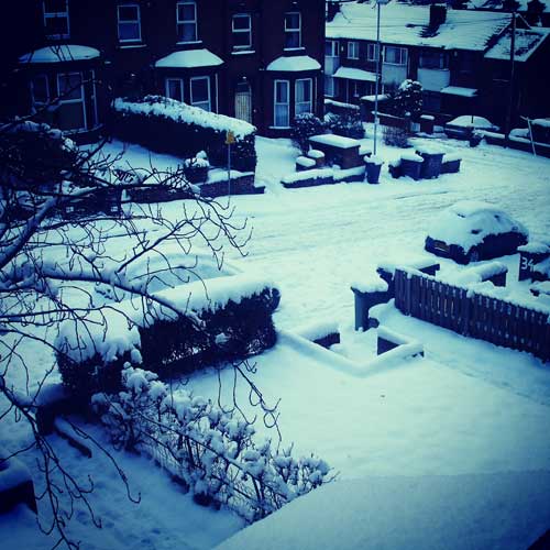 Kuantum Shah Ibrahim Kelso Snow