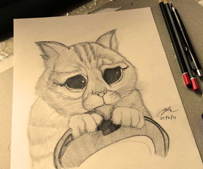 Shrek Puss in Boots Pencil Sketch by Shah Ibrahim